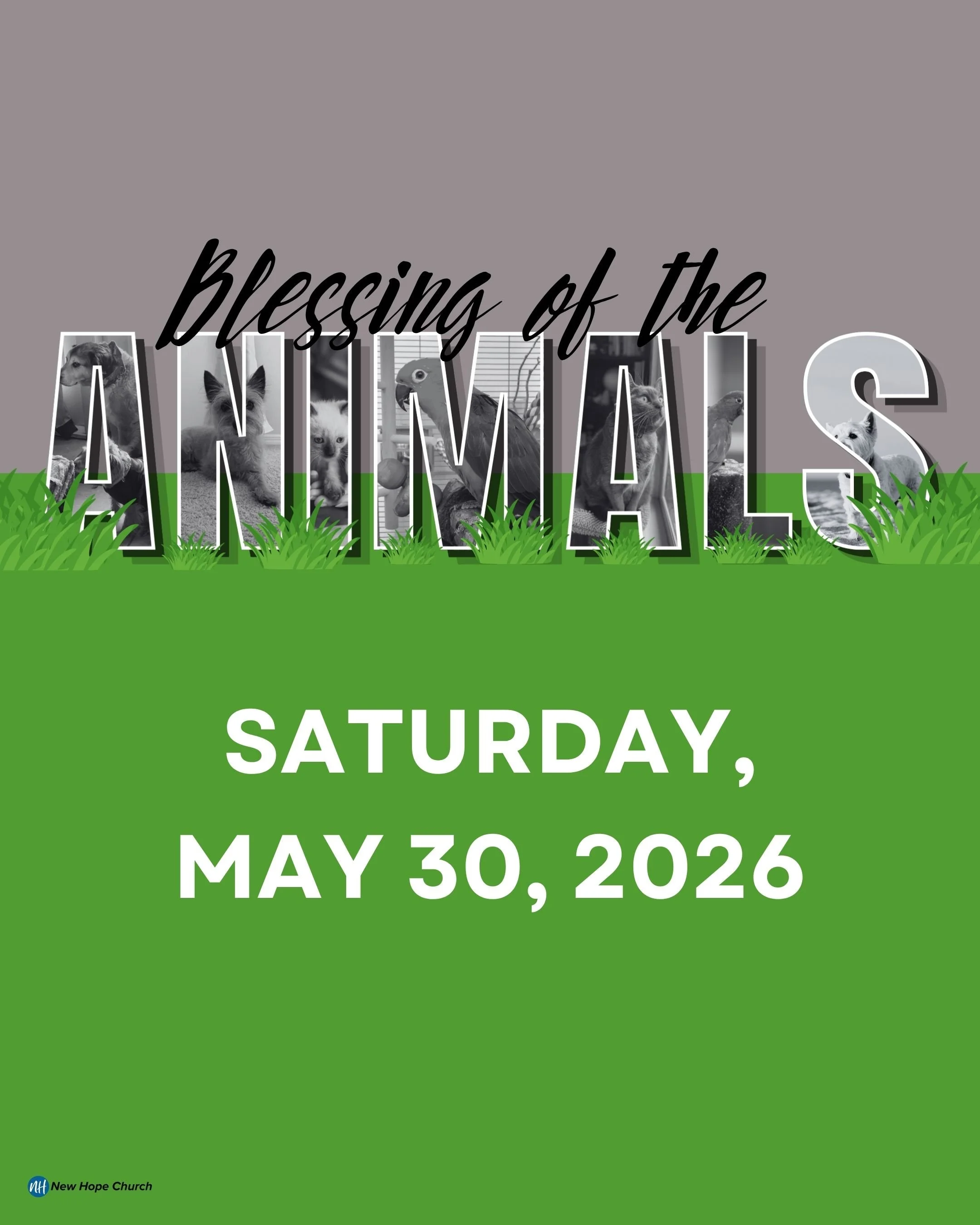 New Hope Blessing of the Animals