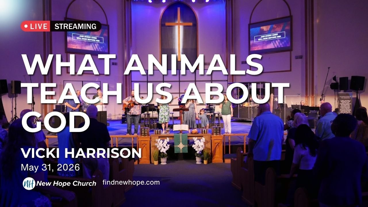 "God’s Love for Animals” | Rev. Vicki Harrison