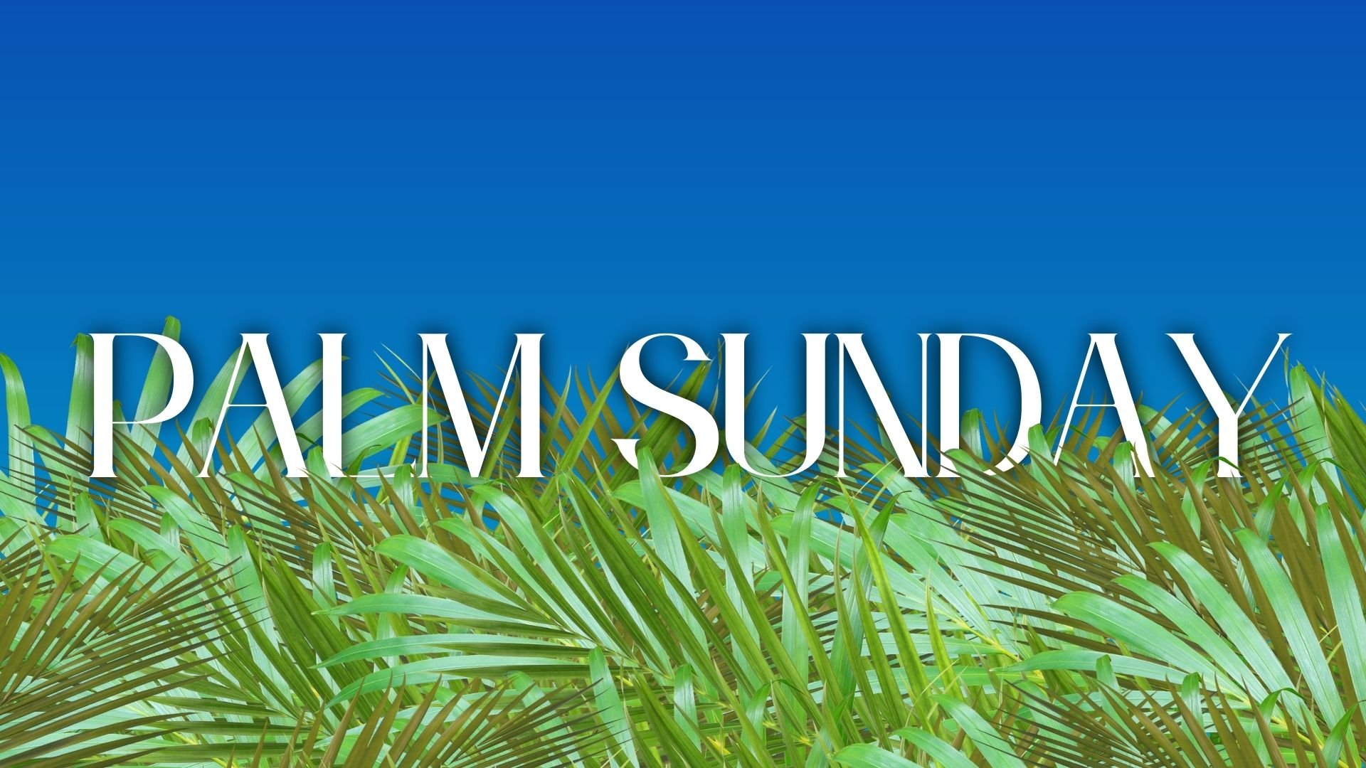 Palm Sunday - April 2, 2023 — New Hope