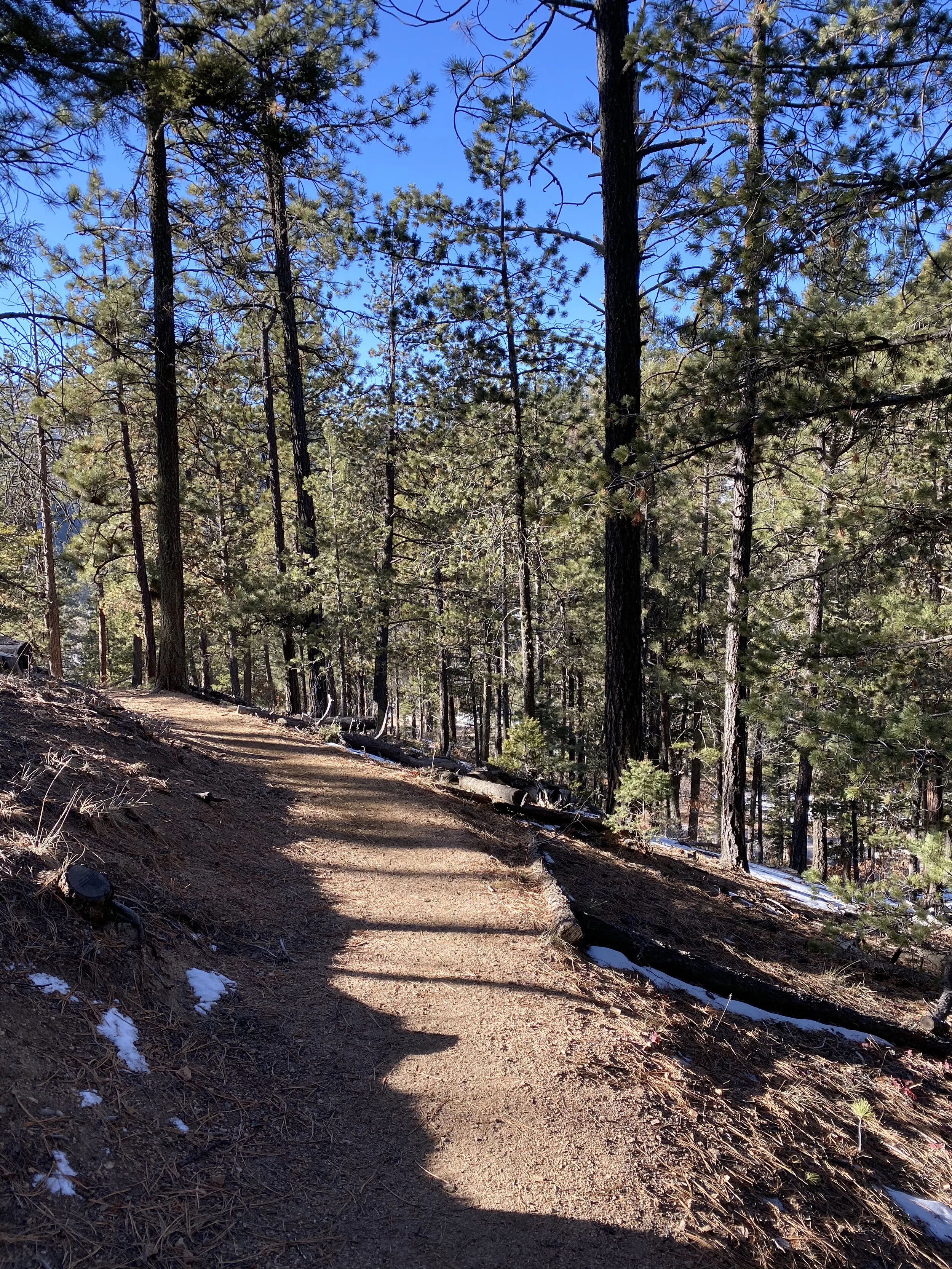 Santa Fe Area Day Hikes That Will Get Your Blood Pumping and Your Energy Soaring