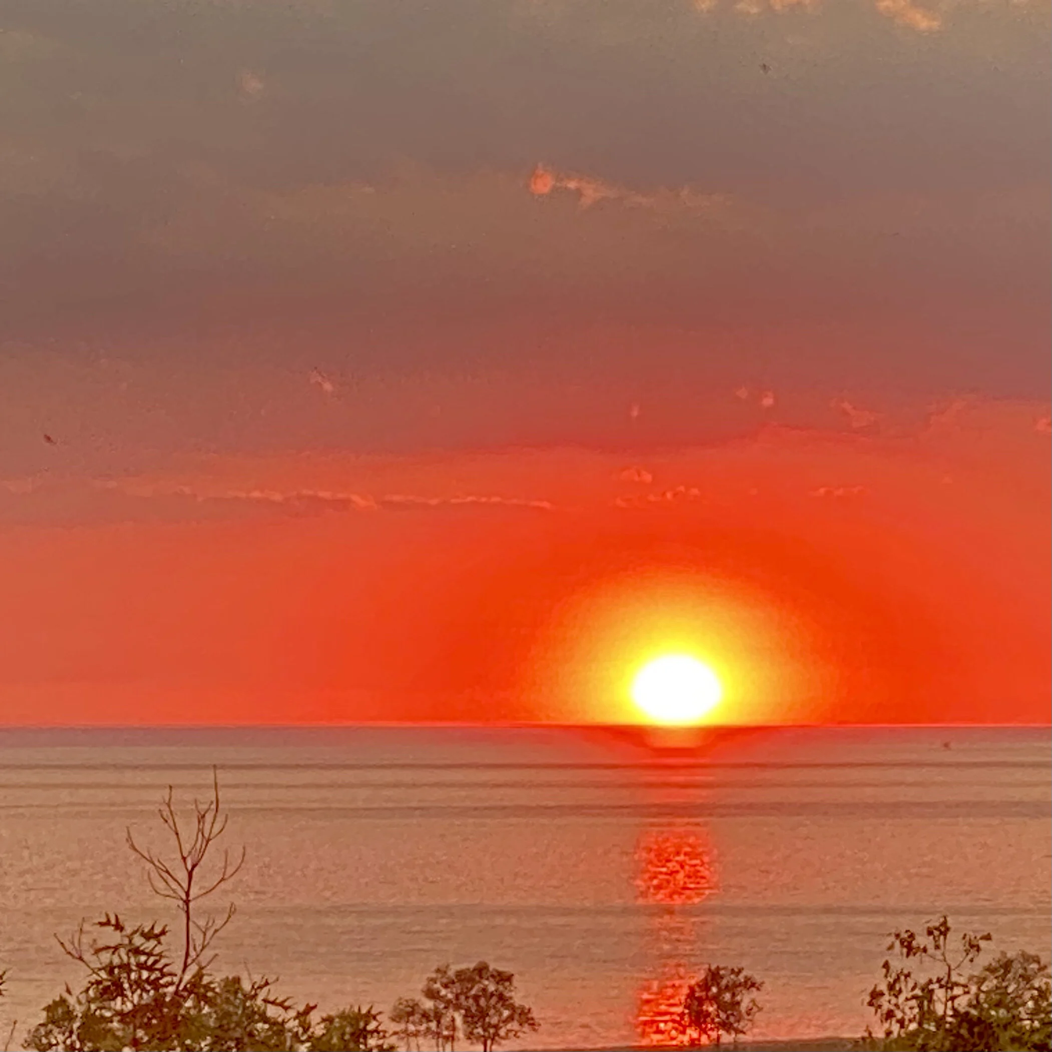 15 Ways to Explore Southwest Michigan as a Temporary Local