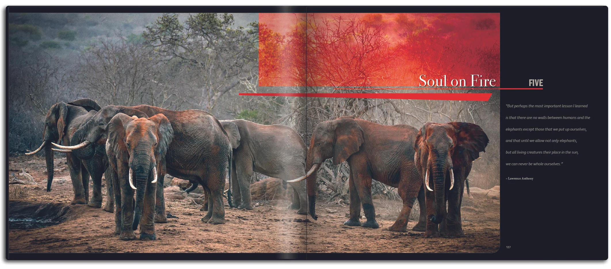 Chapter page with copy.