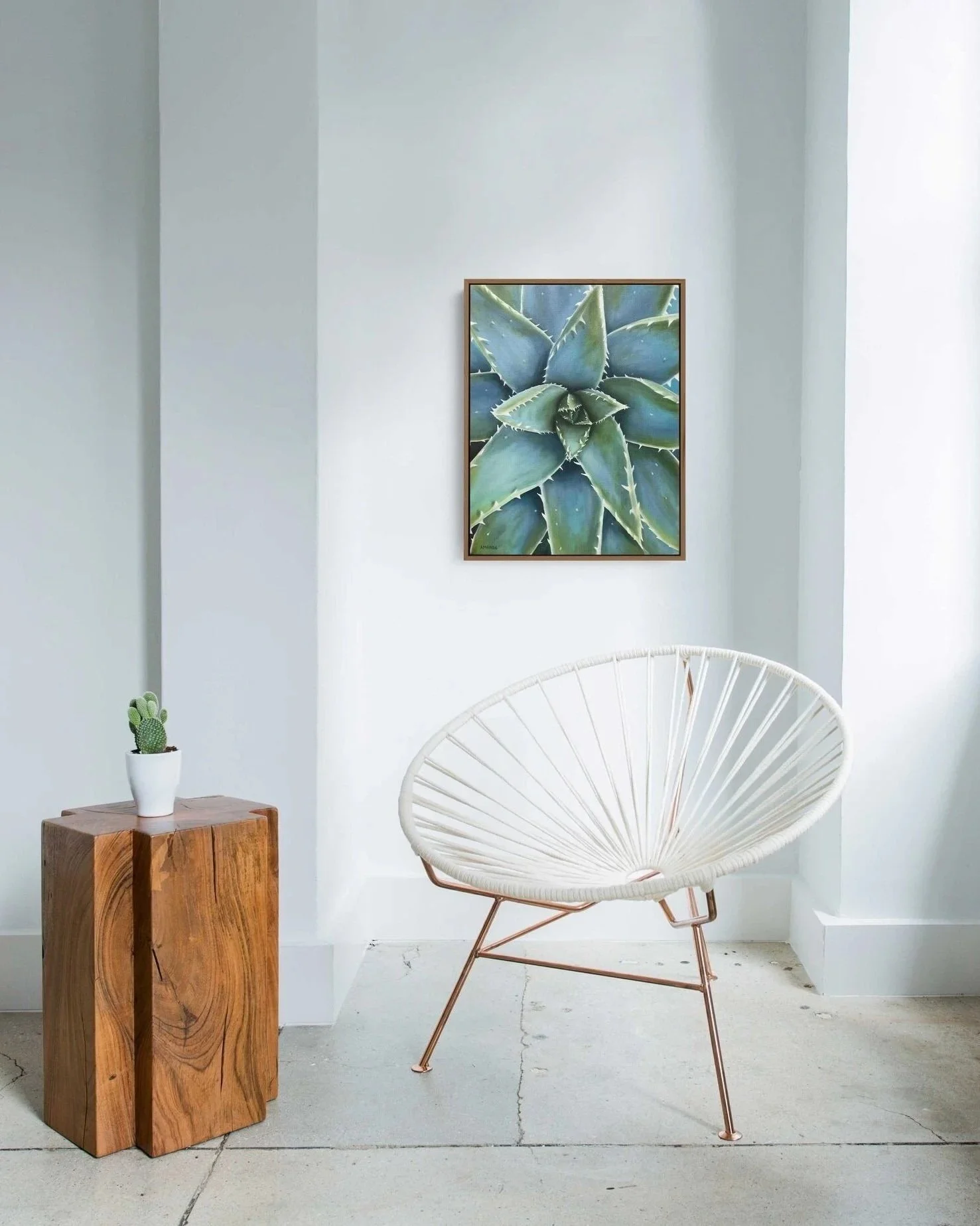 blue-aloe-style.jpg