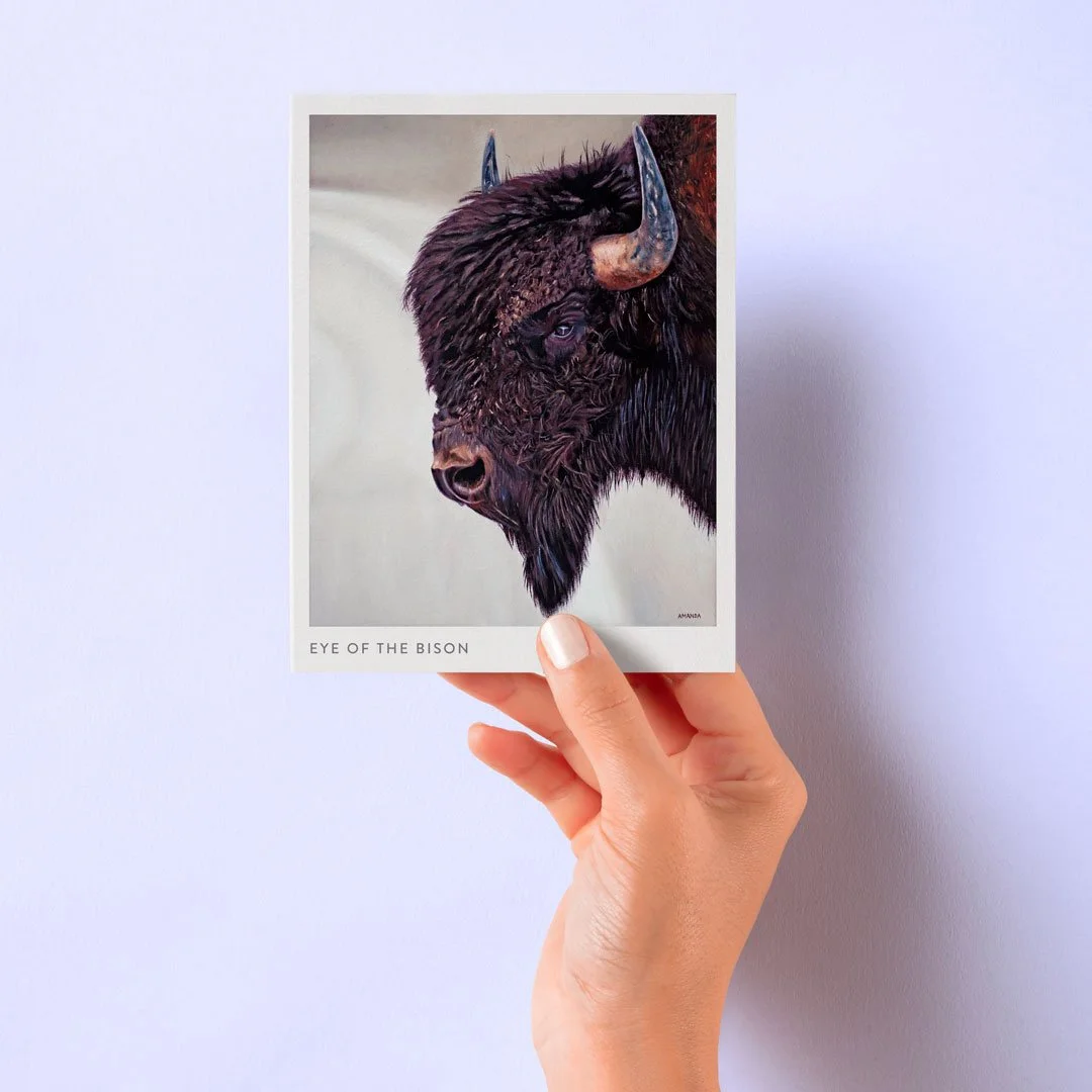 eyeofthebison_notecard_web.jpg