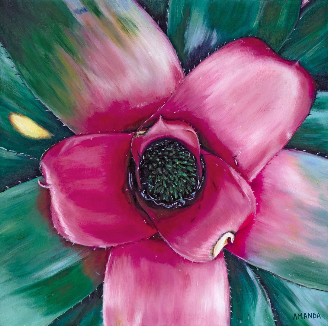 bromeliad_pool_web.jpg