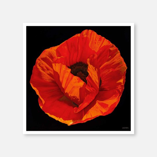 Poppy Print.jpg
