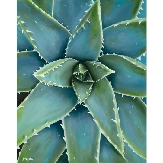 blue aloe square.jpg