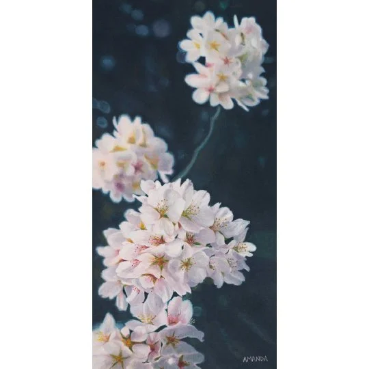 bokeh blossoms square.jpg