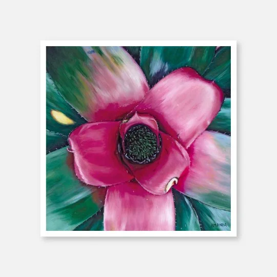 Bromeliad Print.jpg