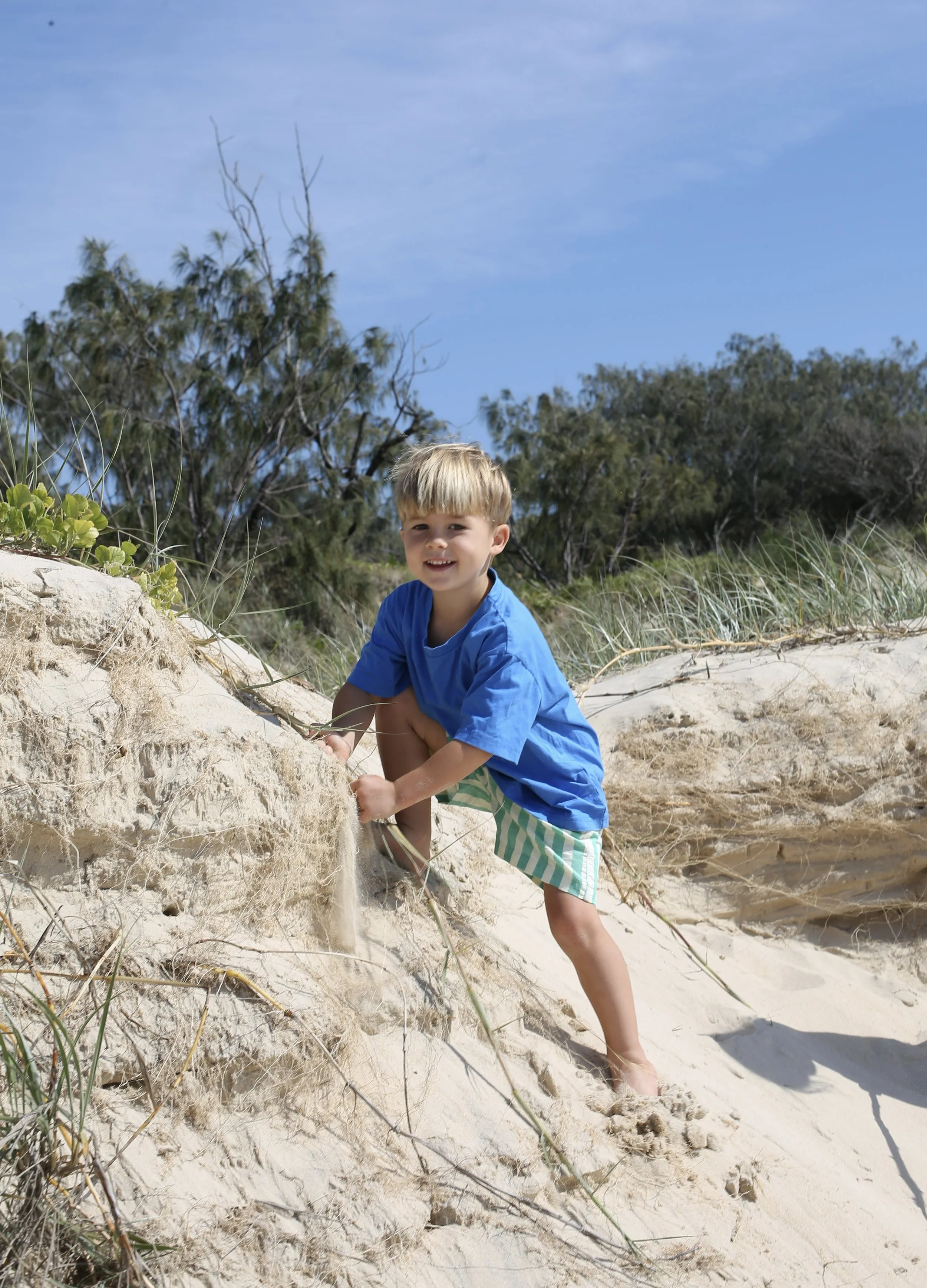 Basic Cotton Jersey Tee - Blue