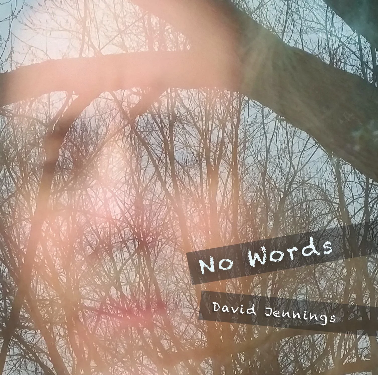 No Words_Front Cover_COMP.jpg