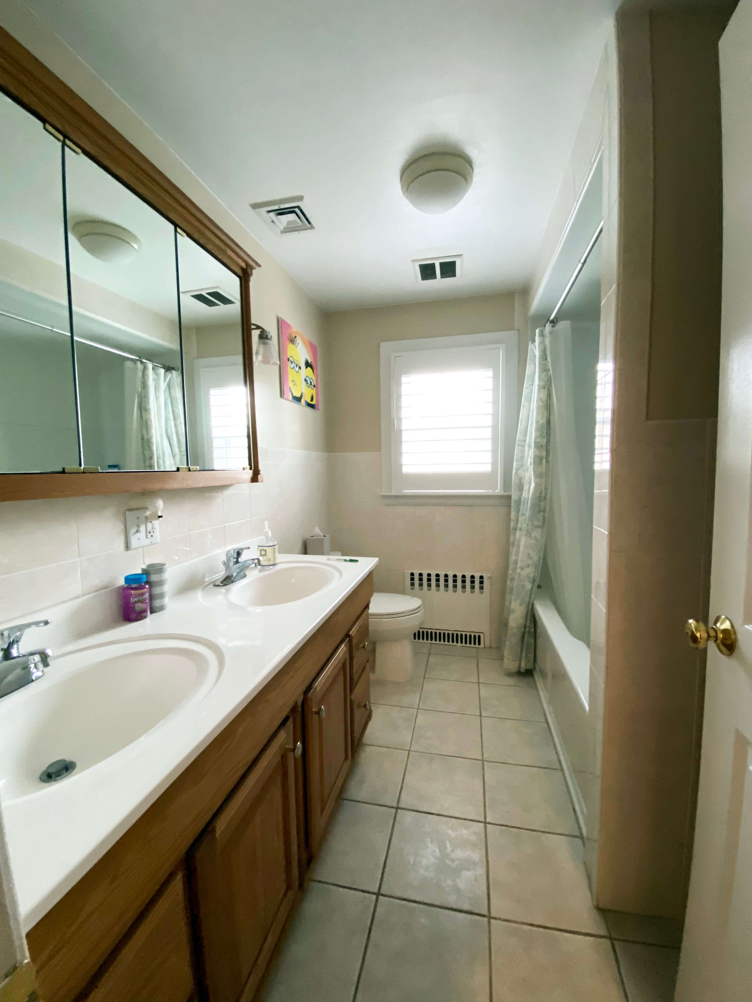 BEFORE guest bathroom - vanity.jpg