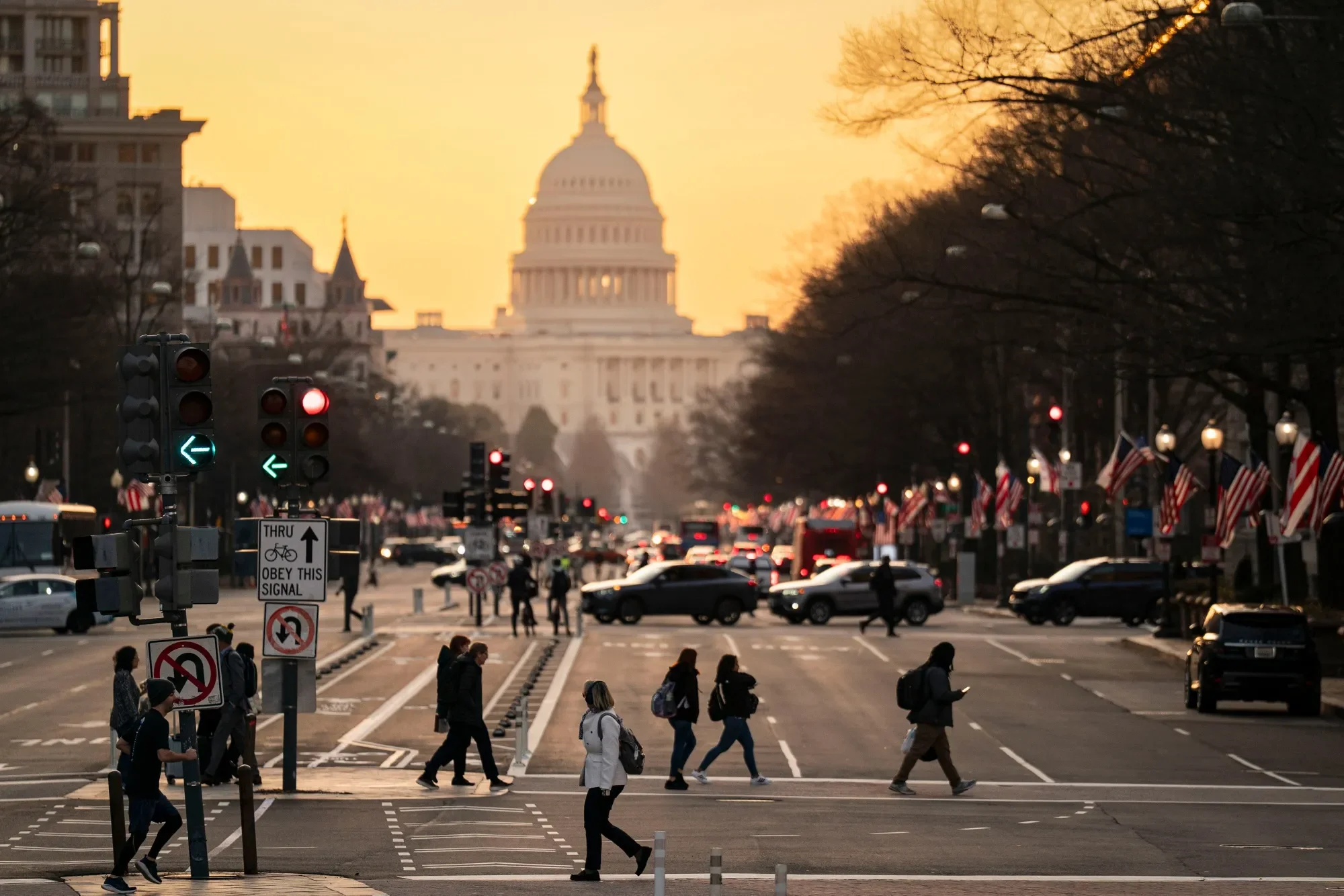 DC Image.webp