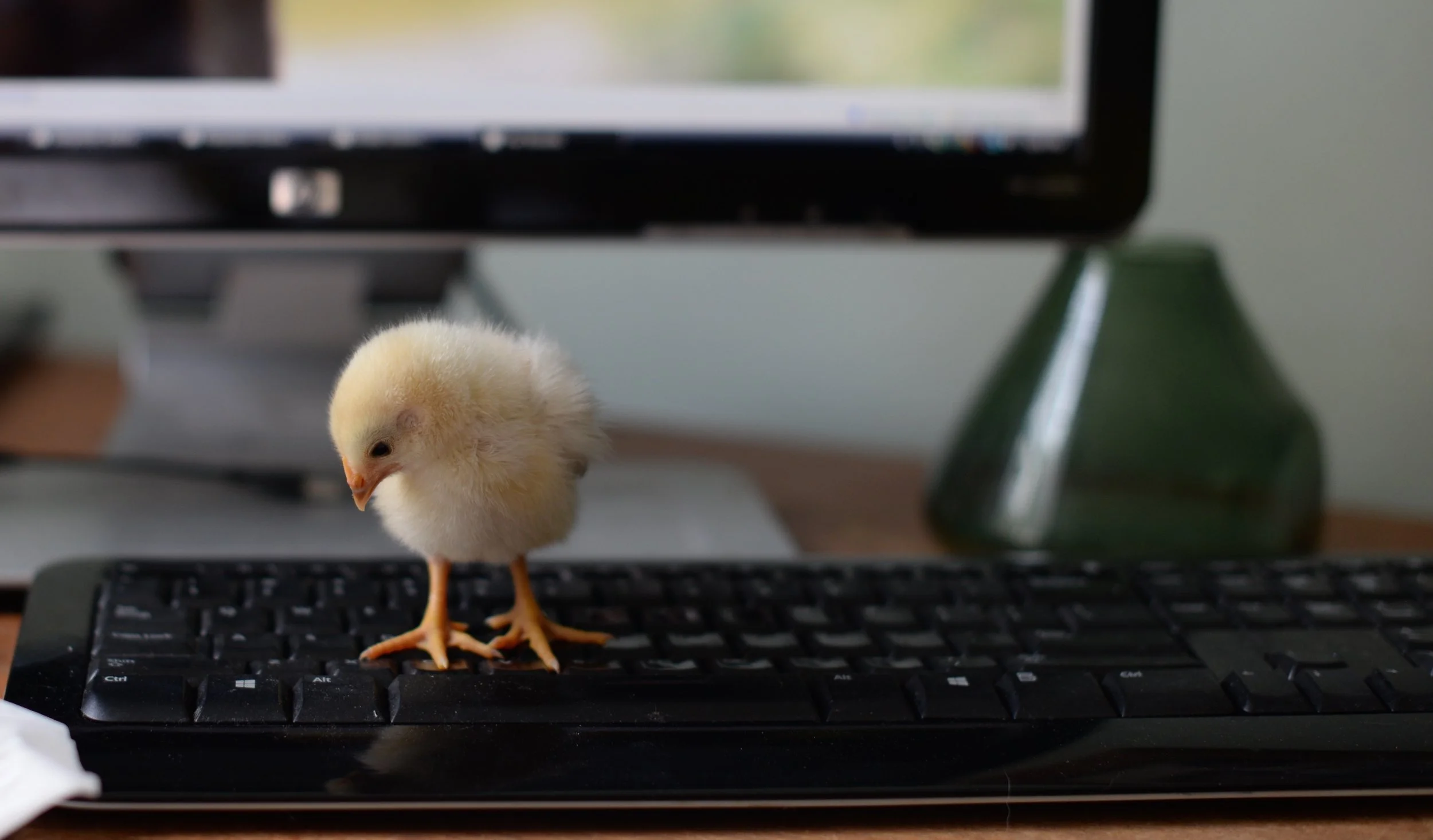 sharing and growing together!