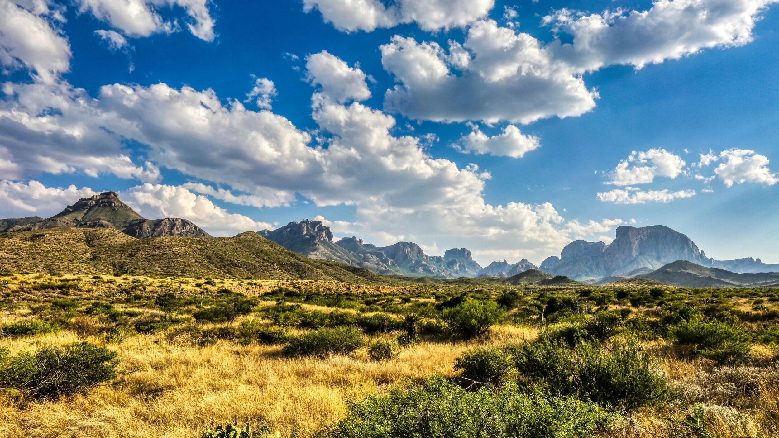 RoadRunner Travelers RV Park photo 5