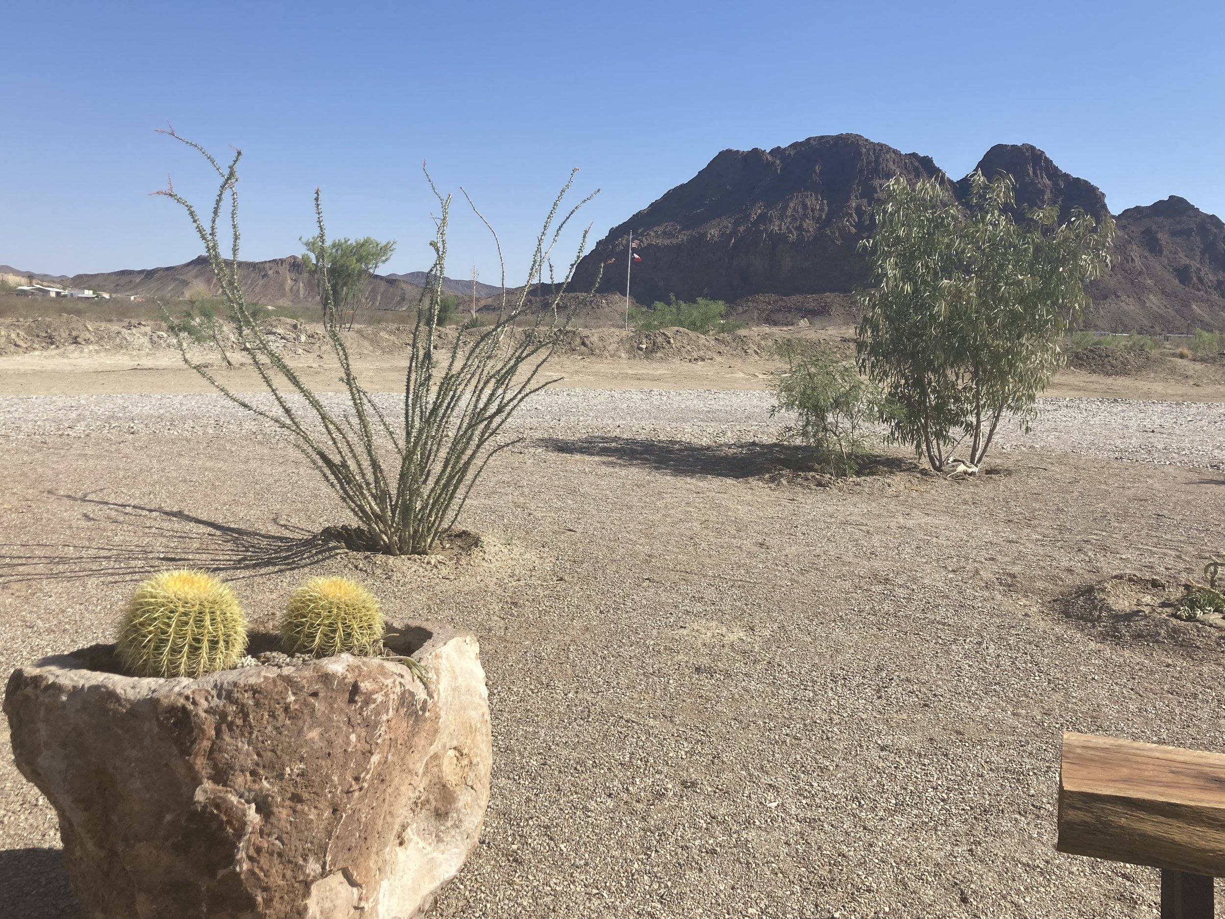 Views from the Cactus Garden