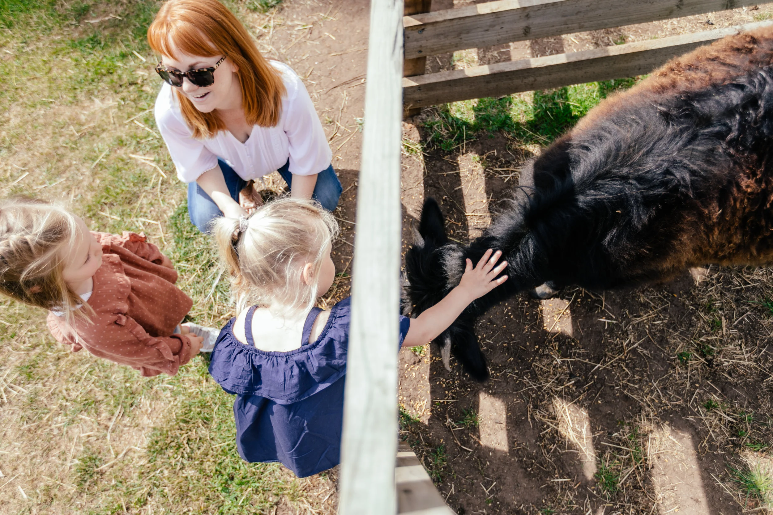Stonesthrow_Kids+Animals_Dec2018_HD-8.jpg