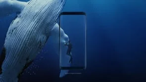Samsung S8 Whale