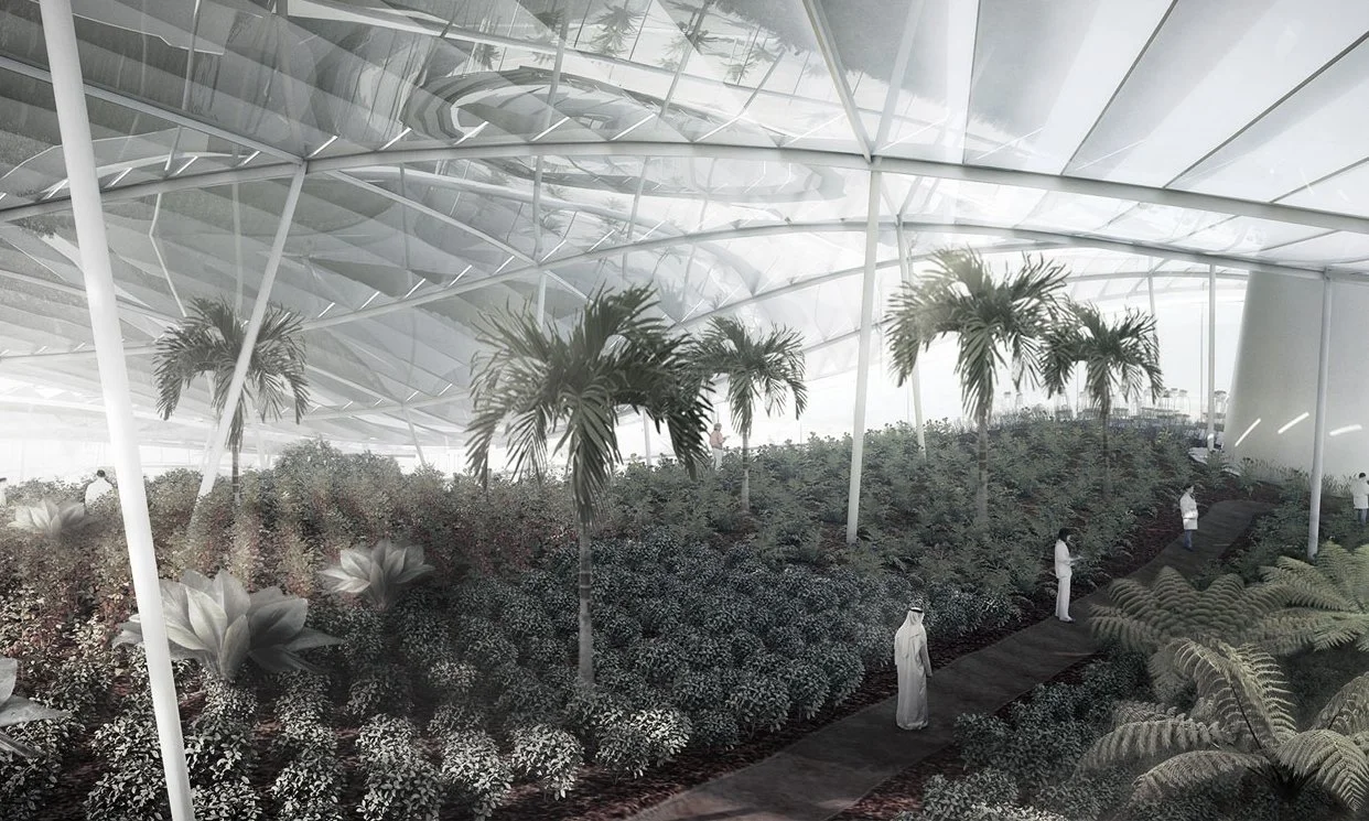 Greenhouse11.jpg
