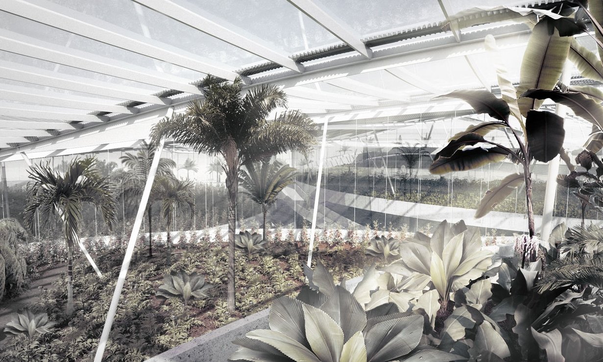 Greenhouse12.jpg