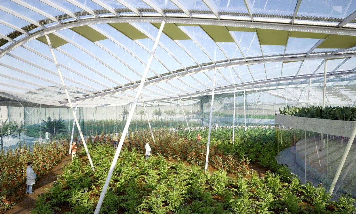 Greenhouse2.jpg