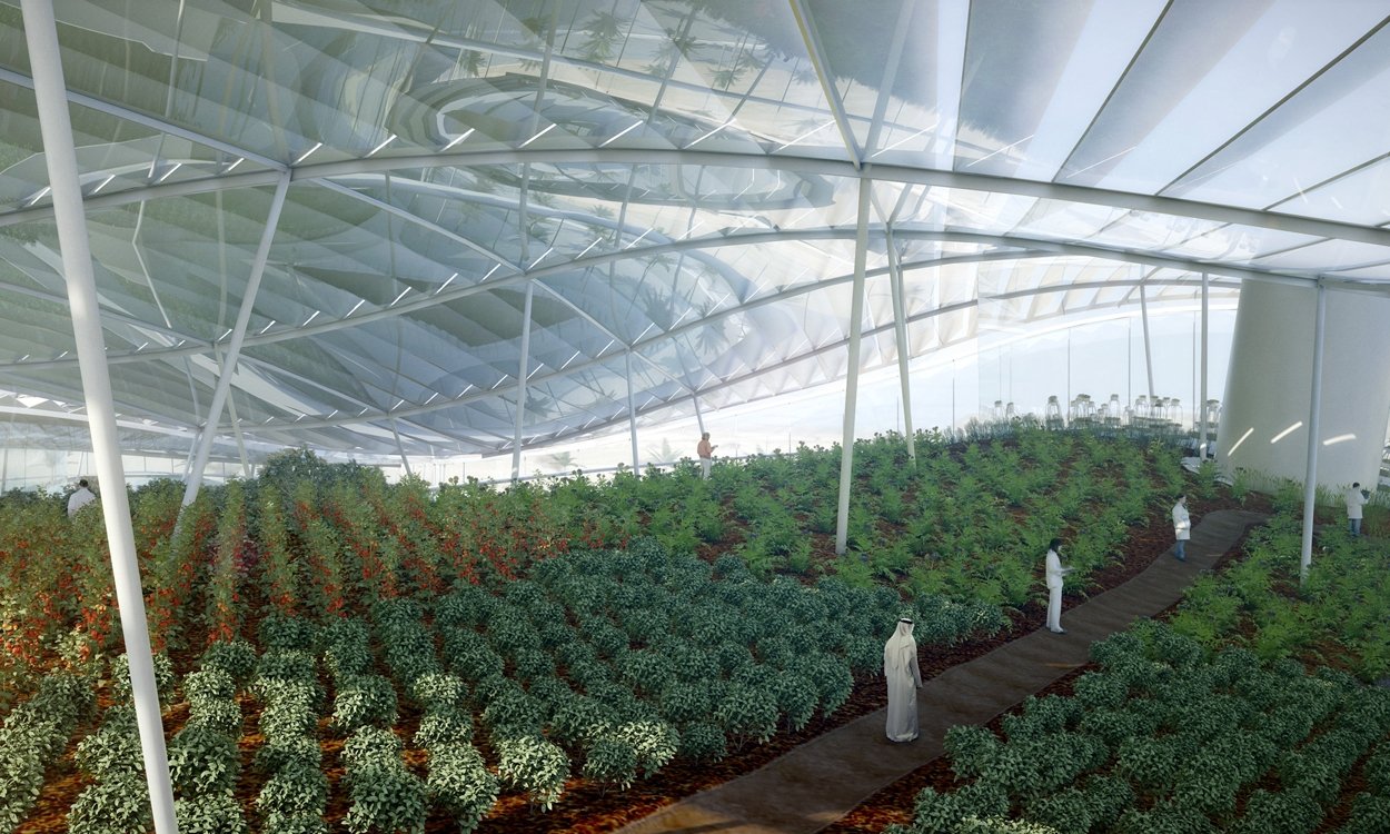 Greenhouse_web6.jpg