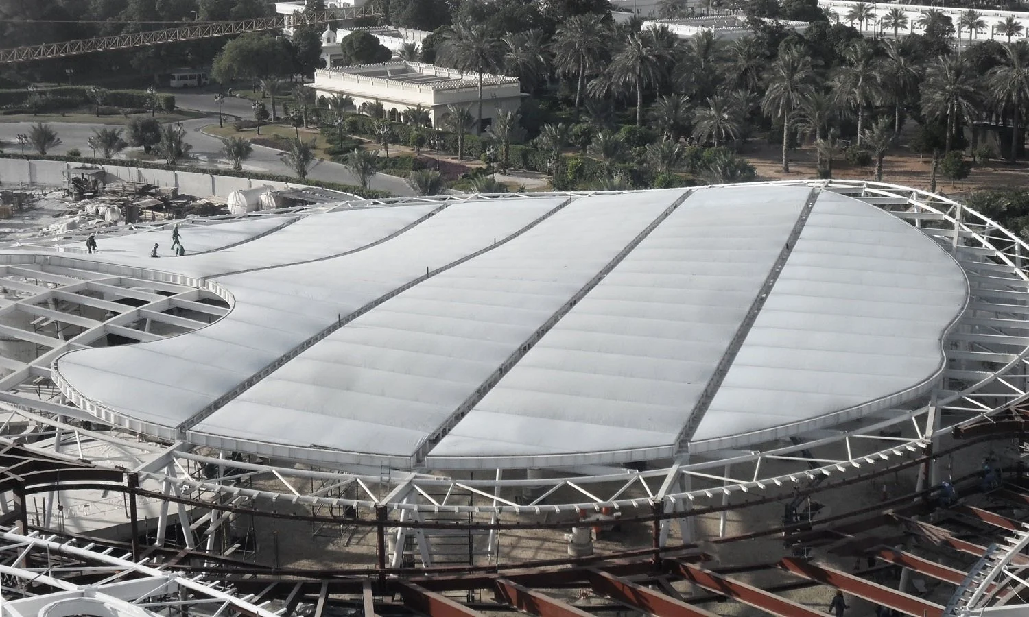 Greenhouse5.jpg