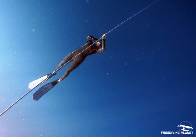 freediving in moalboal.jpg