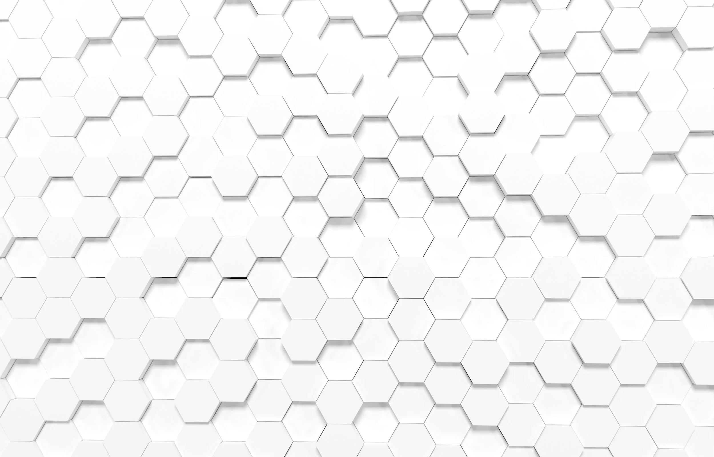 AdobeStock_197836700.jpeg