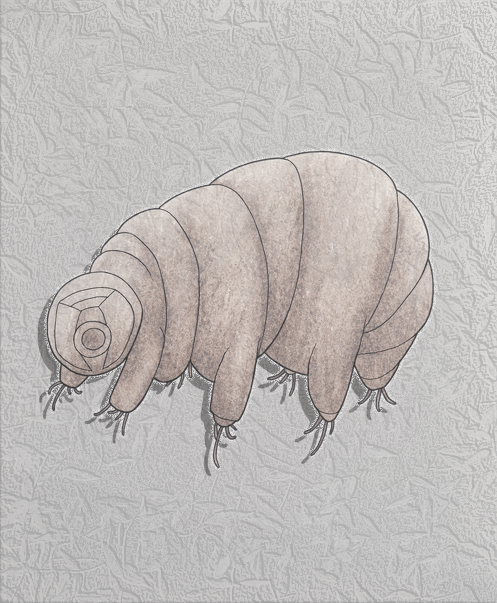 tardigrade.png