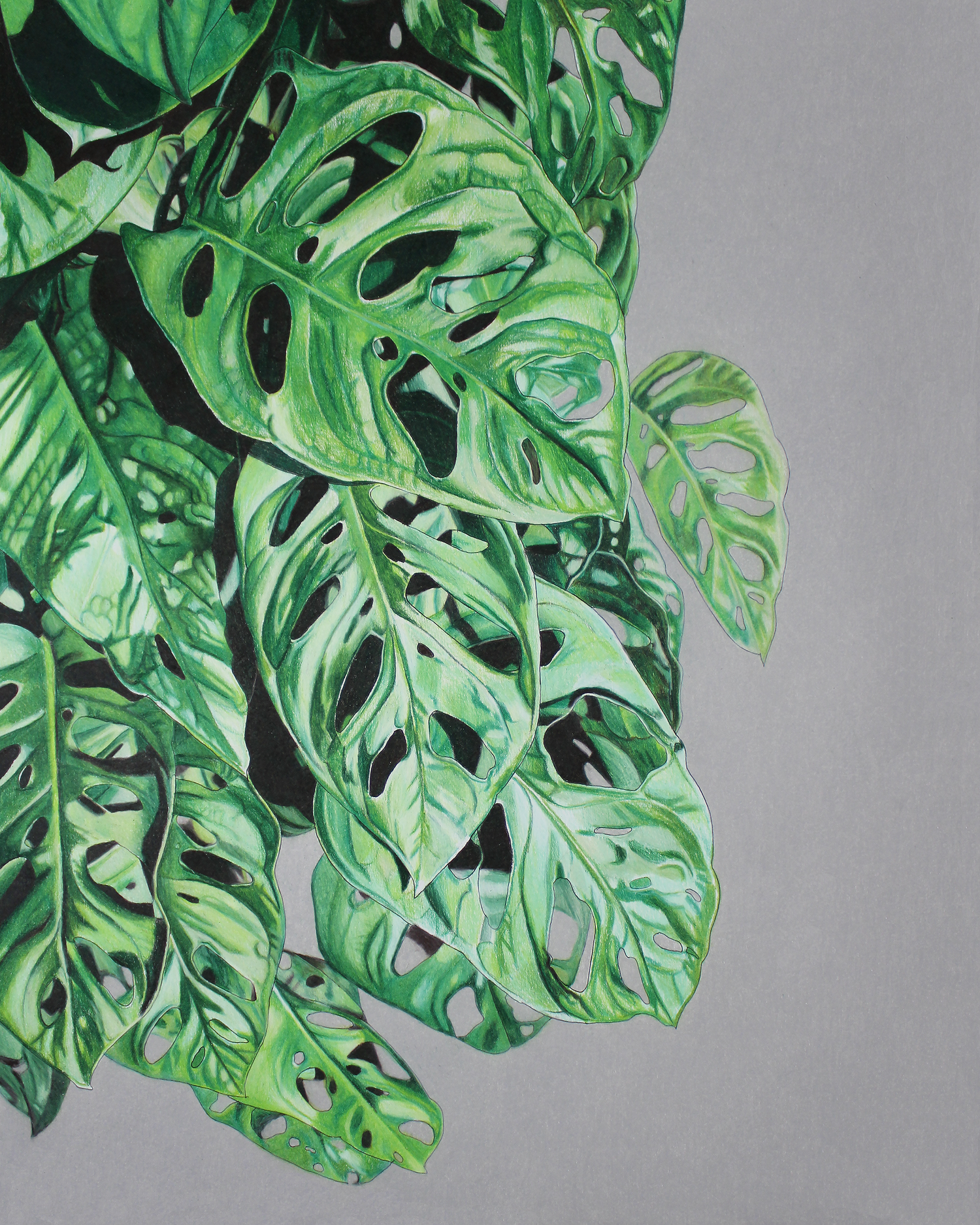 monstera pole Self-Watering Moss Pole Alternative main image 1