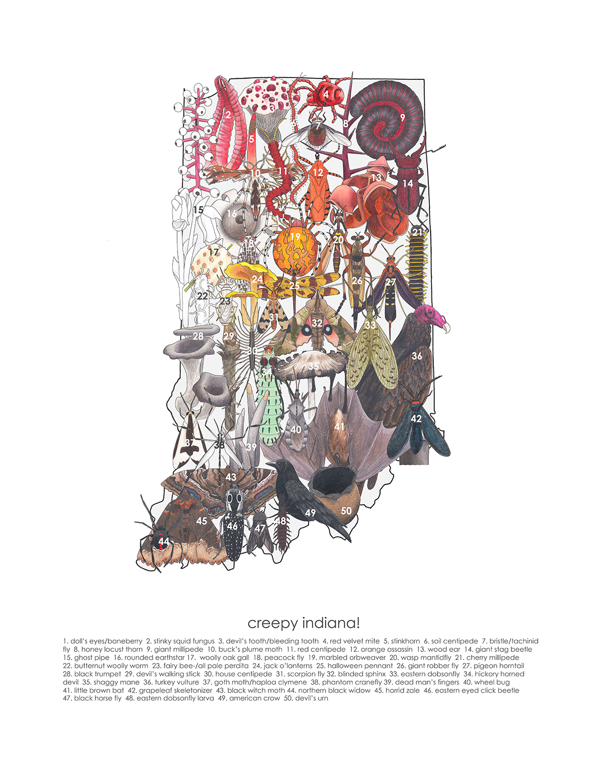 indianagradient(spooky)11x14_9pt wordssm.png