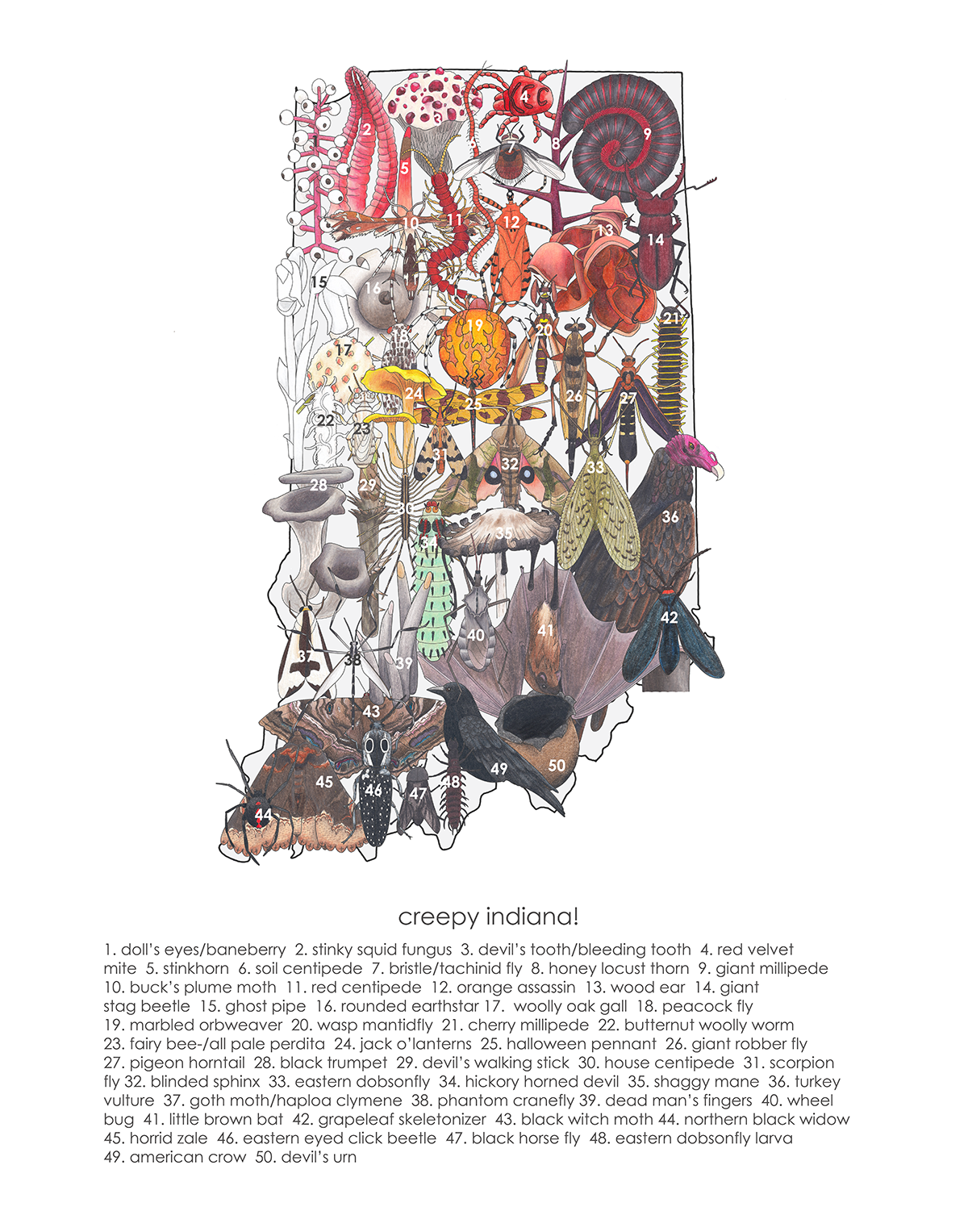 indianagradient(spooky)11x14_12.86pt wordssm.png