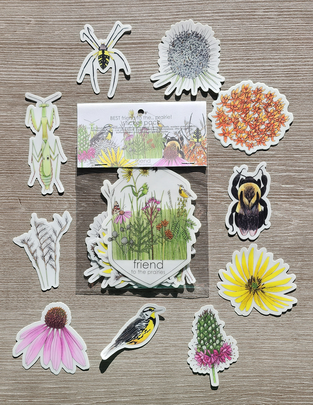Journal Sticker Pack | Natural Daisy