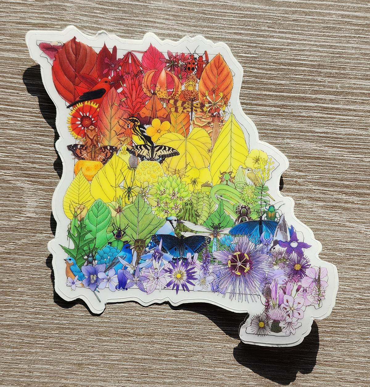 missouri gradient sticker