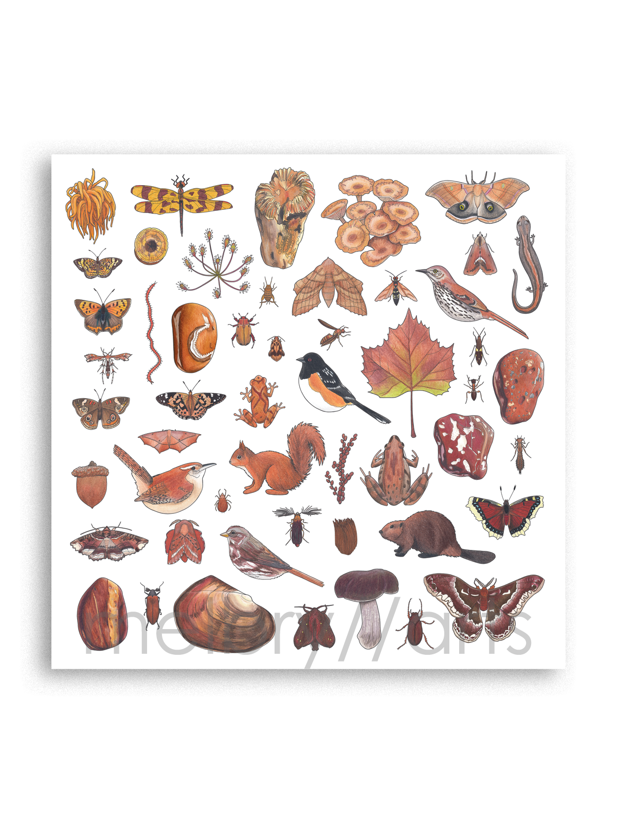 2027 orange-brown.png