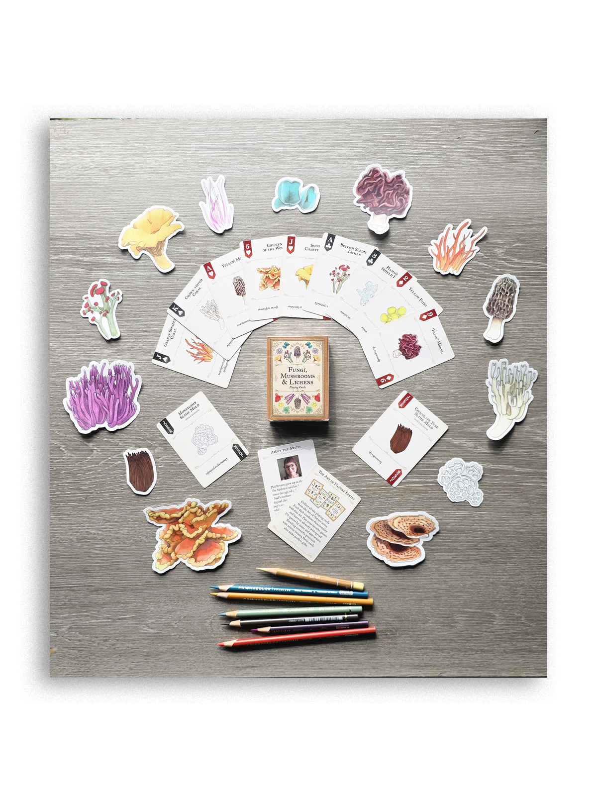 playing cards - fungi, mushrooms & lichens