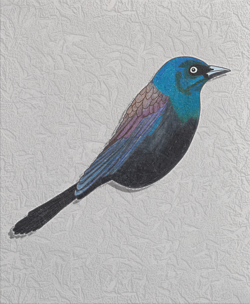 grackle