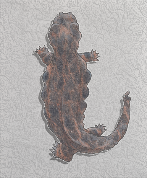 hellbender