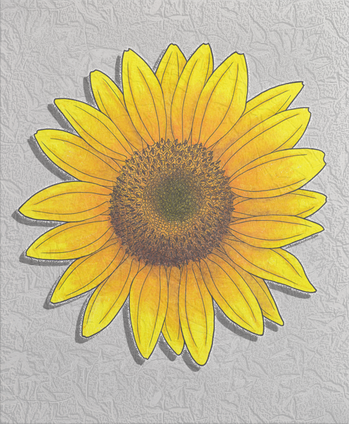 sunflower.png