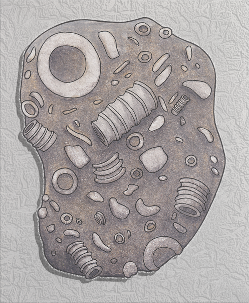 fossil.png