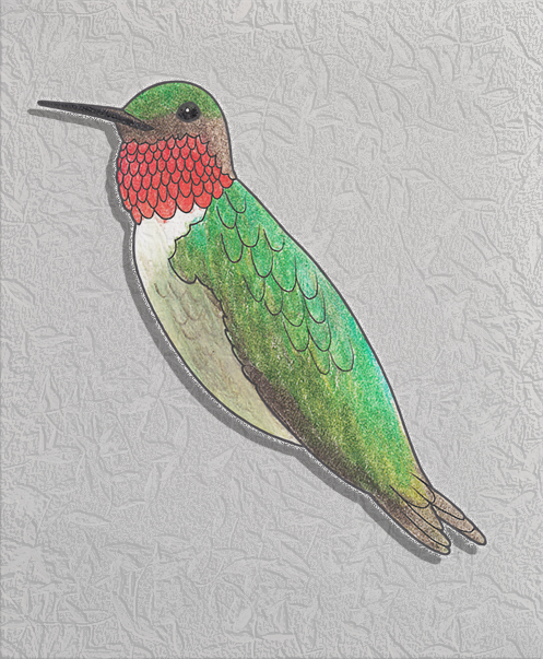 ruby-throated hummingbird.png