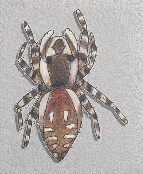 peppered jumper
