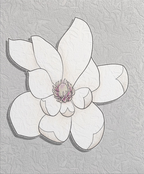 umbrella magnolia flower.png