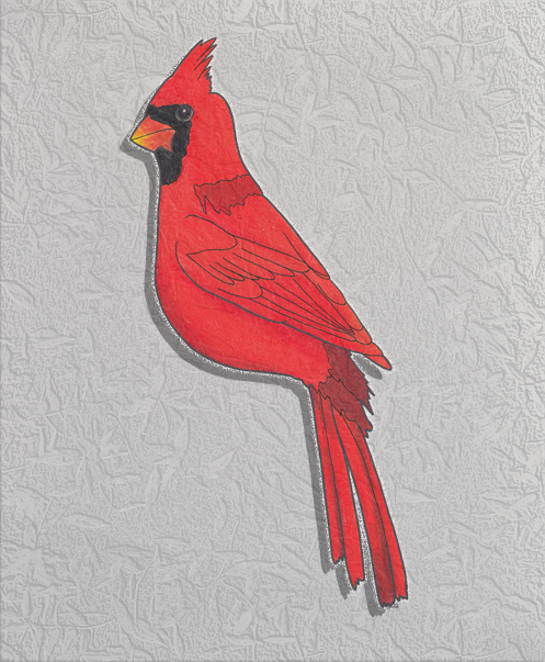 northern cardinal