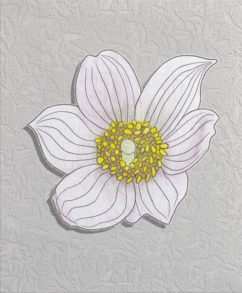 pasque flower.png