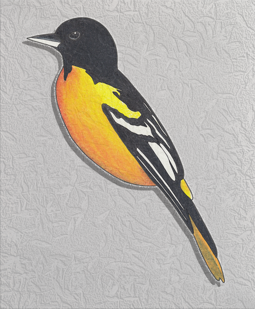 oriole