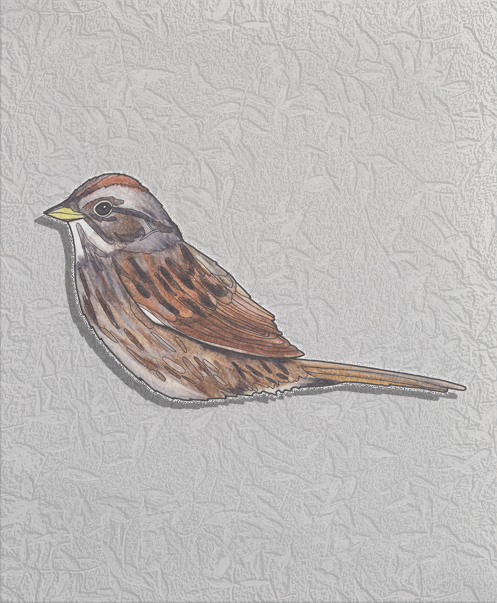 swamp sparrow.png