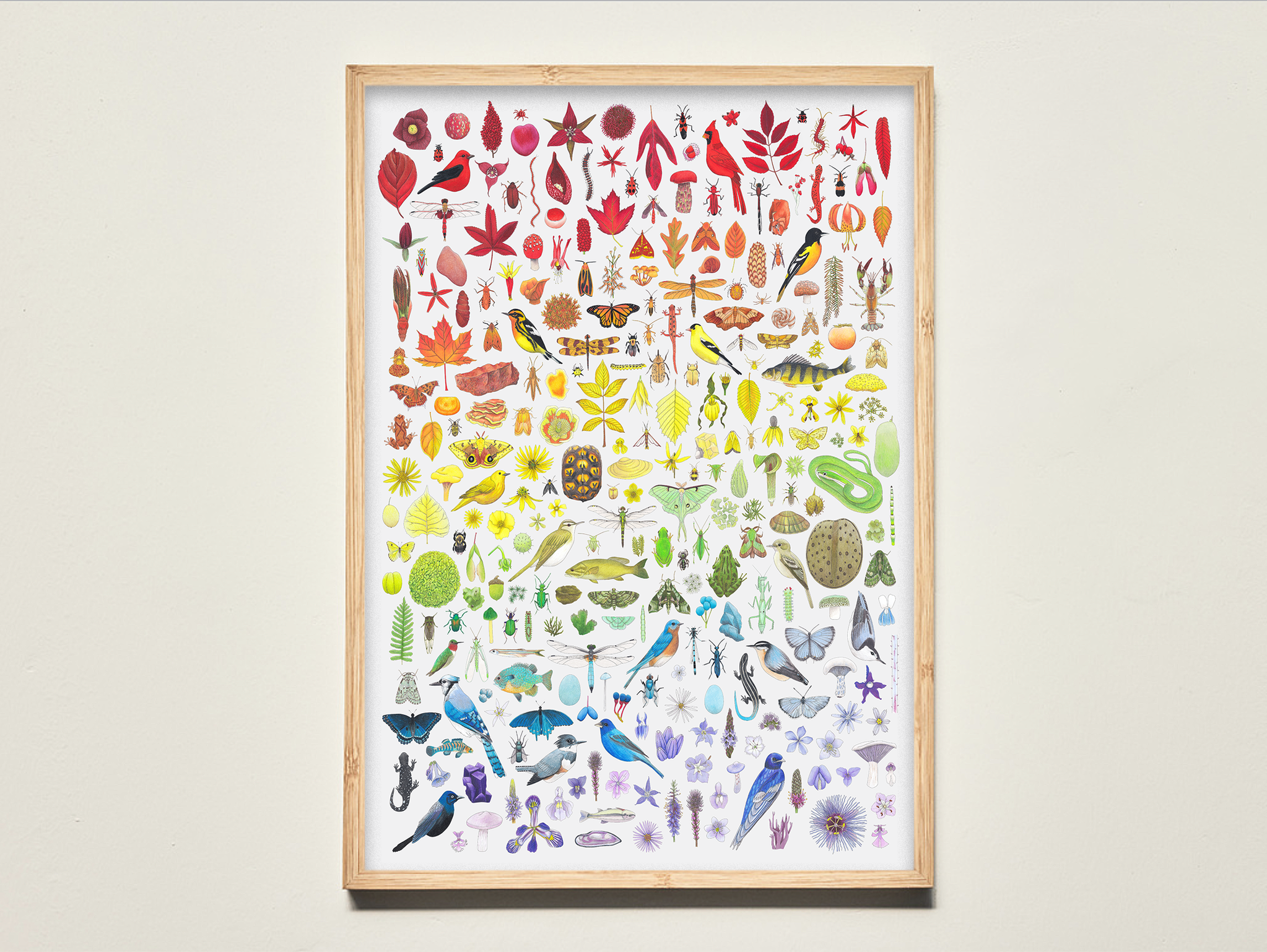 light wood frame - roygbiv.png