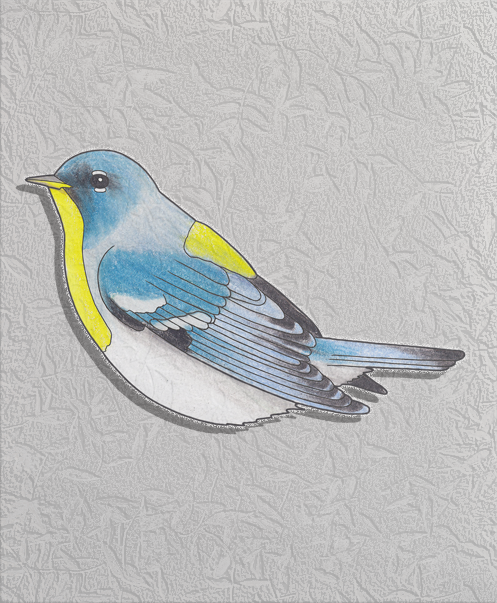 parula